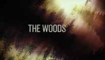 The Woods The Woods