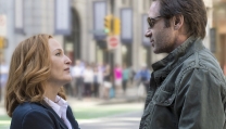 X Files X Files