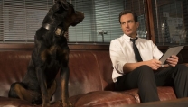 Show Dogs – Entriamo in Scena Show Dogs – Entriamo in Scena