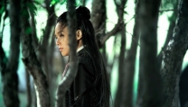 The assassin The assassin