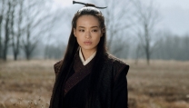 The Assassin The Assassin
