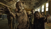 The Walking Dead The Walking Dead