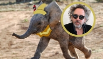 Tim Burton remake di Dumbo Tim Burton