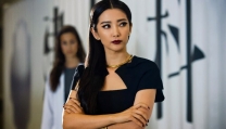 Li Bingbing