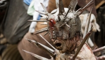 The Walking Dead The Walking Dead