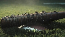 The Walking Dead The Walking Dead
