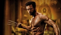 Wolverine Wolverine