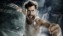 Wolverine Wolverine
