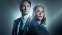X Files X Files