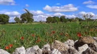 l'Apulia Film Festival a Crispiano