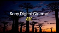 Sony Digital Cinema 4K