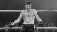 Toro Scatenato