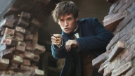 Eddie Redmayne in Animali Fantastici e Dove Trovarli