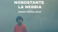 Nonostante la nebbia