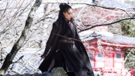 The Assassin