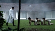 The Human Centipede