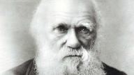 Disney progetta un film su Charles Darwin