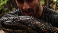 Eaten alive