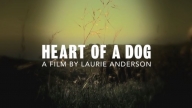 Heart of a Dog