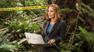 Gillian Anderson