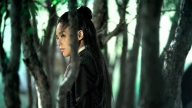 The assassin