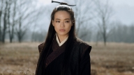 The Assassin