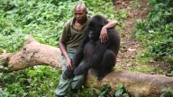 Virunga