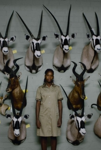 Safari di Ulrich Seidl