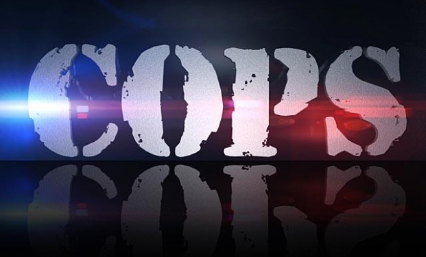 COPS COPS