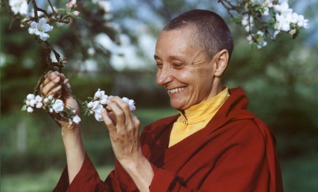 Tenzin Palmo Tenzin Palmo