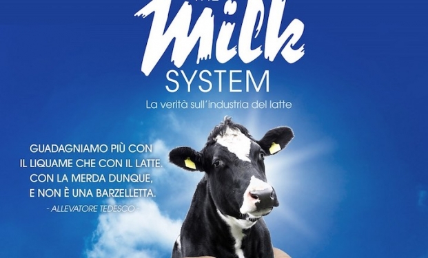 The Milk System The Milk System