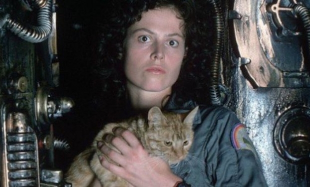 Alien Alien