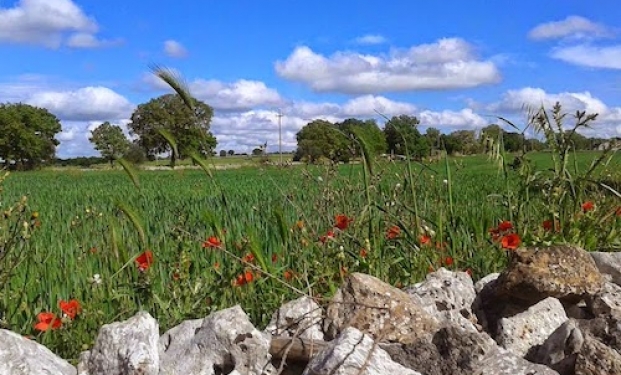 l'Apulia Film Festival a Crispiano l'Apulia Film Festival a Crispiano