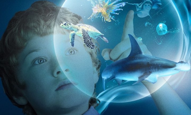 Le meraviglie del mare Le meraviglie del mare
