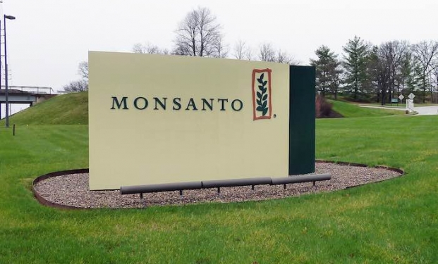 Morgan Freeman critica la Compagnia Monsanto e il governo americano Morgan Freeman critica la Compagnia Monsanto e il governo americano