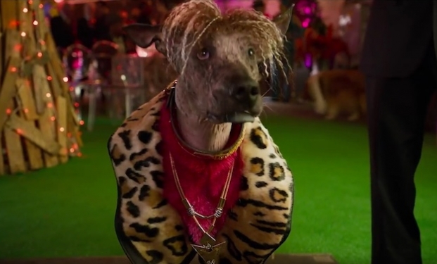 Show Dogs – Entriamo in Scena Show Dogs – Entriamo in Scena