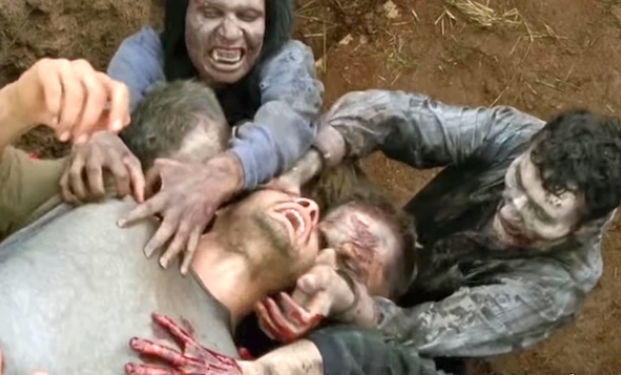 The Walking Dead The Walking Dead