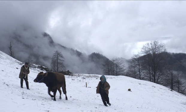 Cold of Kalandar Cold of Kalandar