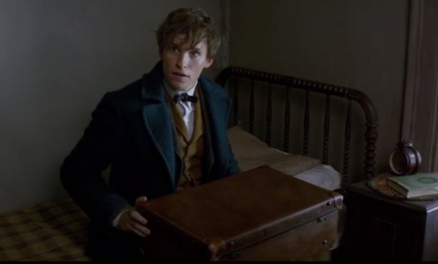 Newt Scamander Newt Scamander