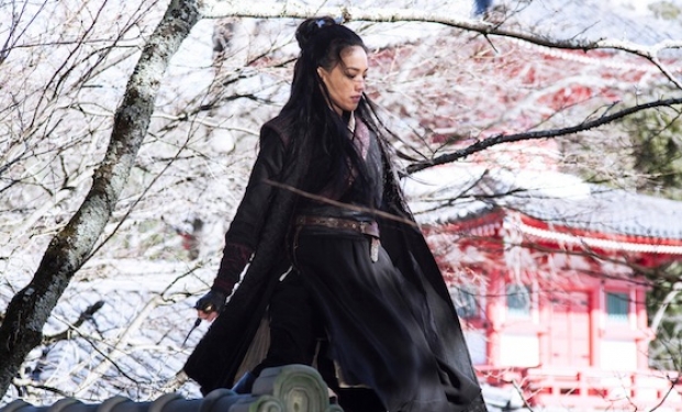 The Assassin The Assassin