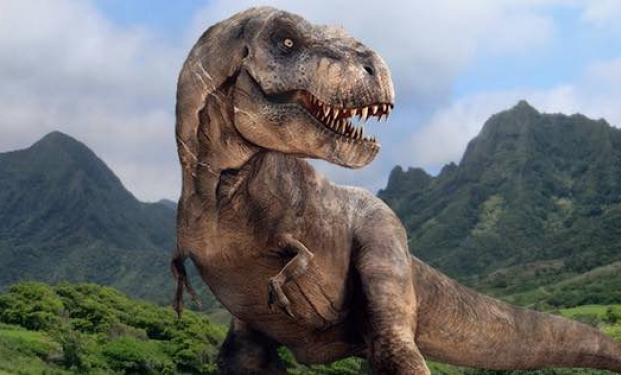 D-Rex D-Rex