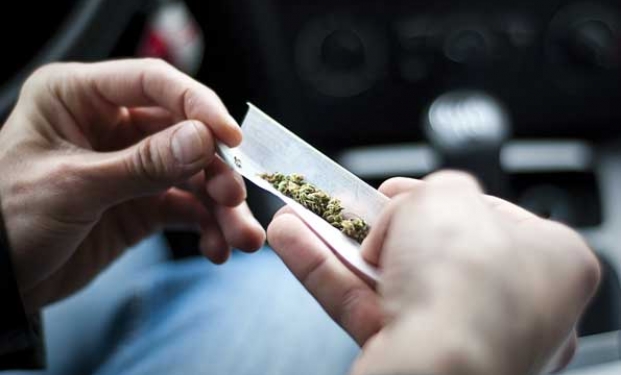 Vimeo investe nella web series sulla marijuana Vimeo investe nella web series sulla marijuana