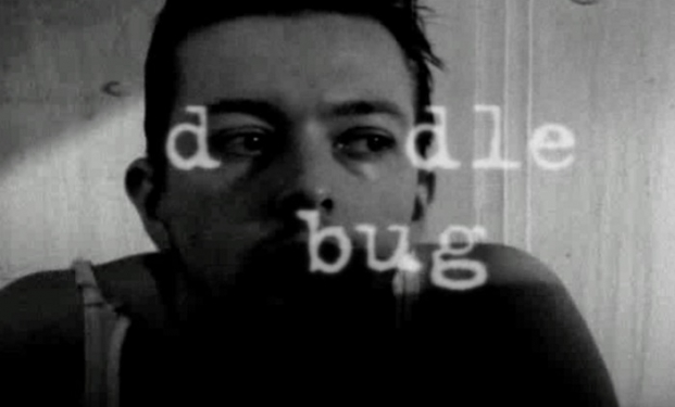 Doodle bug Doodle bug