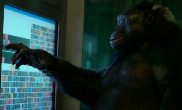 Unlocking the cage Unlocking the cage