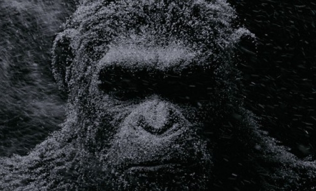 Planet Apes Planet Apes