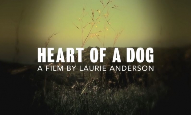 Heart of a Dog Heart of a Dog
