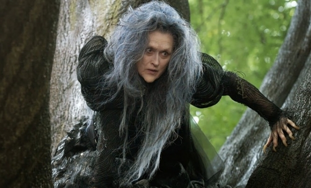 Into the Woods Into the Woods