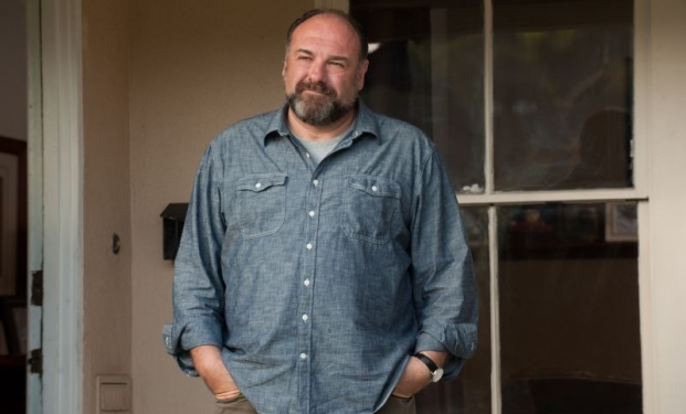 James Gandolfini in Non dico altro James Gandolfini in Non dico altro