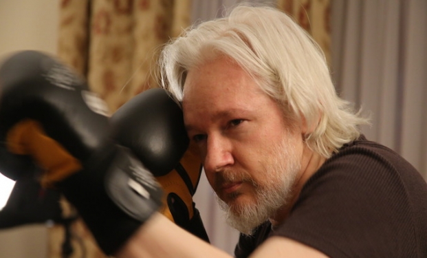 Julian Assange mette Sony K.O Julian Assange mette Sony K.O