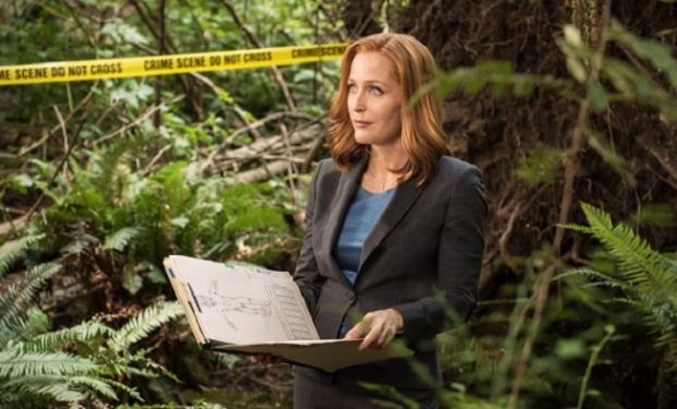 Gillian Anderson Gillian Anderson